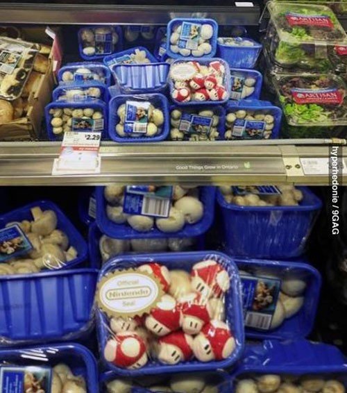 게임 ‘슈퍼 마리오’의 주인공 마리오가 보면 두말 않고 살 것 같은 버섯 팩 포장. 출처=온라인커뮤니티