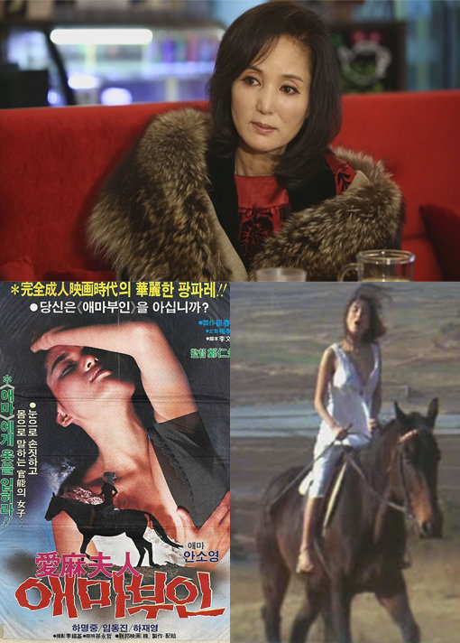 ‘애마부인 안소영 근황’