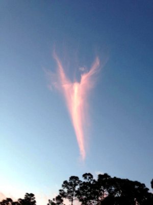 미국 플로리다 하늘에서 포착된 천사구름 모습. 출처=WPTV 페이스북