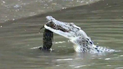 사진= 영상캡처