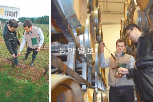 美 유니언 와인의 ‘언더우드’ 생산지



이마트의 수입 와인 판매가 다이어트는 발품을 판 결과다. 12일(현지 시간) 미국 오리건 주 포틀랜드 유니언 와인의 포도밭에서 신근중 이마트 주류담당 바이어(왼쪽)가 라이언 함스 유니언 와인 사장과 함께 포도나무를 살펴보고 있다. 두 사람은 이날 숙성 중인 와인도 시음하며 이야기를 나눴다.

포틀랜드=권기범 기자 kaki@donga.com·이마트 제공