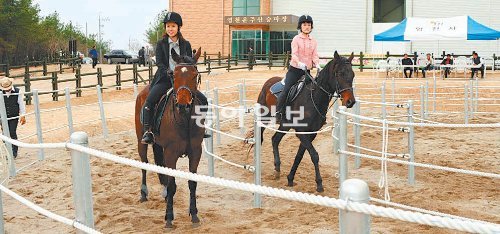 경북에서 말산업 육성 경쟁이 벌어지고 있다. 영천시 임고면 운주산 실외승마장에서 동호인들이 말을 타고 있다. 영천시 제공