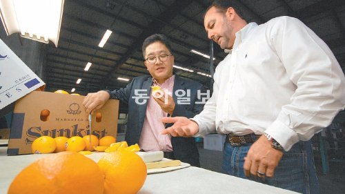 홍동호 이마트 LA 소싱사무소장(왼쪽)이 14일(현지 시간) 오전 미국 캘리포니아 주 테라벨라의 포터빌 시트러스 농장 패킹하우스에서 크리스 밀러 디렉터와 함께 오렌지의 당도를 점검하고 있다. 테라벨라=권기범 기자 kaki@donga.com