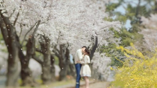흐드러지게 핀 벚꽃을 배경으로 송혜교와 조인성이 키스를 나누며 ‘그 겨울’은 종영했다. 사진출처｜방송화면 캡처