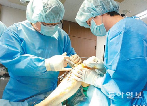선정형외과 의료진이 무릎관절염 환자에게 줄기세포 시술을 하고 있다. 선정형외과 제공
