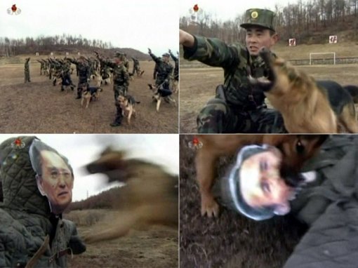 김관진 국방부장관의 얼굴 사진이 붙은 허수아비를 물어뜯는 영상이 공개됐다.