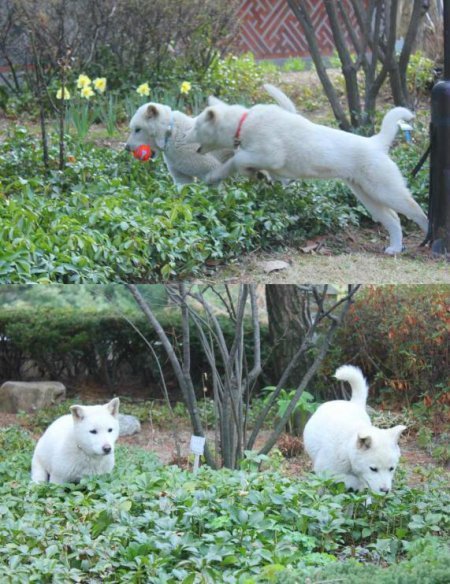 박근혜 대통령이 14일 취임 후 세 번째 트위터 글을 올렸다.