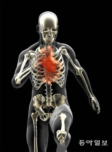 육상 선수가 달리기를 할 때 인체 내부 중 심장의 모습이다. 이처럼 홀로그램 이미지로 생생하게 인체 내부를 들여다볼 수 있다.