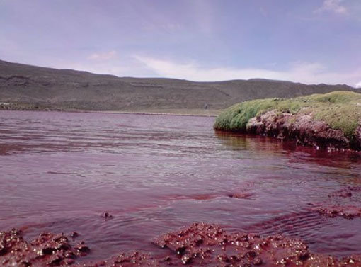 공포의 붉은 호수