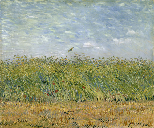 빈센트 반 고흐, 자고새가 있는 밀밭, 1887년