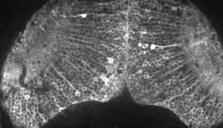 위 사진은 기사와 무관.