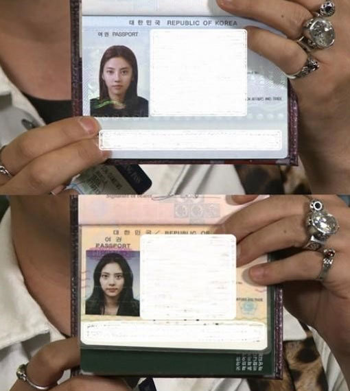 손담비 여권사진