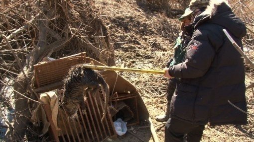 사진= 방송 캡처