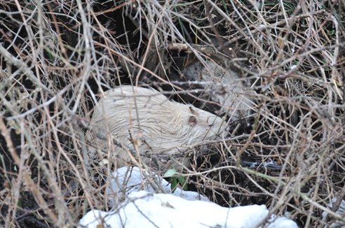 출처= 제주도청 제공