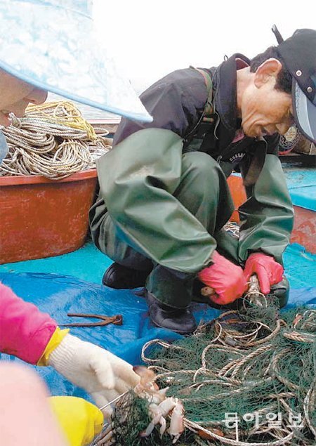 충남 서해 바다에서 꽃게잡이 조업 중인 한 어민이 거둬올린 그물에서 꽃게를 일일이 분리해내는 작업을 하고있다. 태안=이기진 기자 doyoce@donga.com