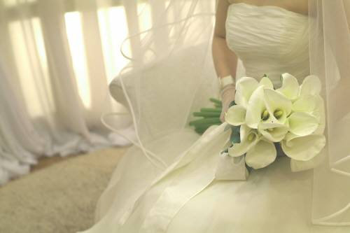 사진 제공 동아일보 DB