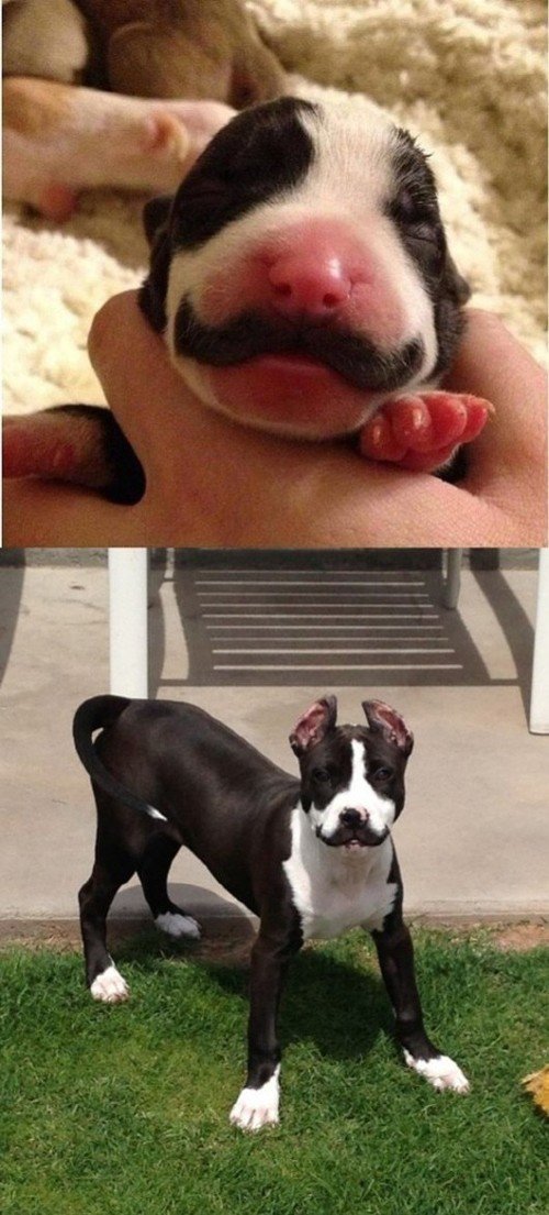 출처= 커뮤니티 게시판