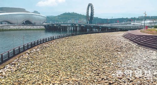 2012여수세계박람회(여수엑스포)재단은 엑스포 해양공원 내 미니 해수욕장인 몽돌해변에서 어린이들의 안전한 물놀이가 가능하도록 크고 날카로운 돌을 고르는 등 정비작업을 벌였다. 엑스포해양공원 내에는 엑스포디지털갤러리 등이 있어 폭염이나 장마에도 야외에서 식사 등이 가능하다. 여수엑스포재단 제공