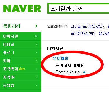 네이버 검색결과 캡처