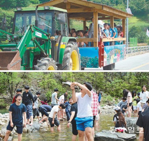 정선 개미들마을에 수학여행 온 학생들이 트랙터를 이용한 ‘풍경차’를 타고 마을을 둘러보고 있다(위쪽 사진). 개미들마을은 봄가을에는 수학여행 1번지로, 여름 겨울에는 가족단위 휴가지로 인기를 끌고 있다. 아래쪽 사진은 학생들이 맨손 물고기 잡기 체험을 하고 있는 모습. 개미들마을 제공