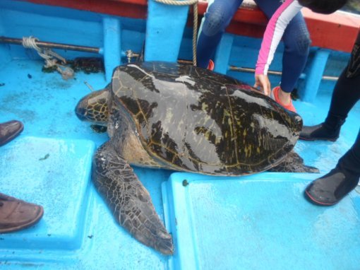 사진= 제주해양경찰서 제공