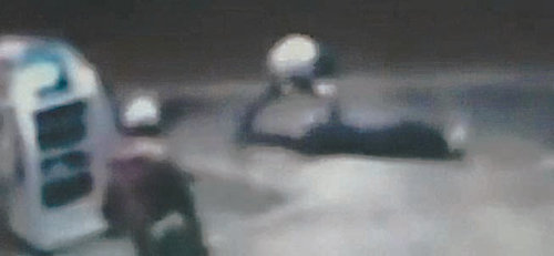 몽둥이에 머리를 맞고 쓰러진 메나를 한 남성이 무차별 폭행하고 있는 모습. 유튜브 화면 캡처