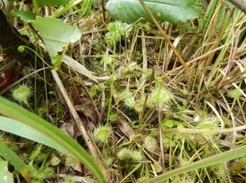 출처= 무등산 국립공원 홈페이지