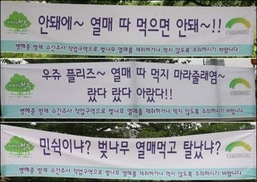 출처= 커뮤니티 게시판