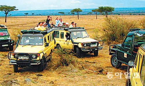 이색 여행을 꿈꾸는 여행자가 늘어나면서 국내 여행업계에서 아프리카가 주목받고 있다. 케냐 서남부의 국립보호구 마사이마라 사파리 현장. 하나투어 제공