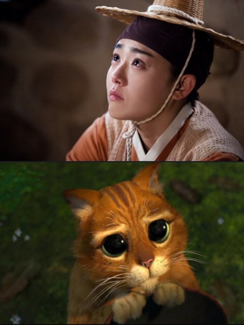 사진제공=문근영 '슈렉 고양이'/케이팍스, 영화 '슈렉'