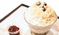 갤러리아백화점 제공