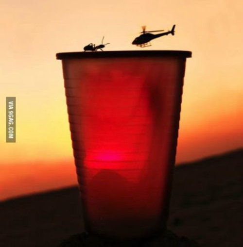 개미 vs 헬리콥터
