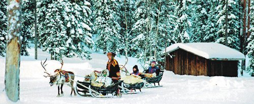 핀란드의 겨울은 이렇듯 환상적이다. 200일이상 눈에 덮이는 북극권 침엽수림에 사는 사미 족 원주민이 전통의상을 입고 순록썰매를 몰고 있다. 뒤로 연어훈제도 하는 스모크사우나가 보인다.