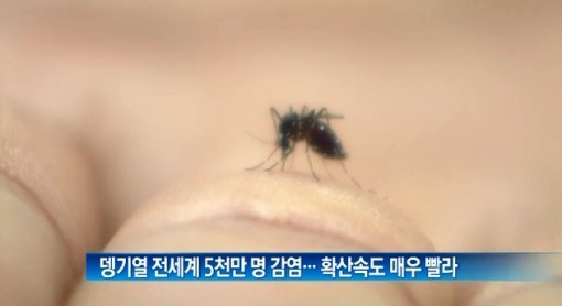 출처= 채널A 뉴스 영상 갈무리