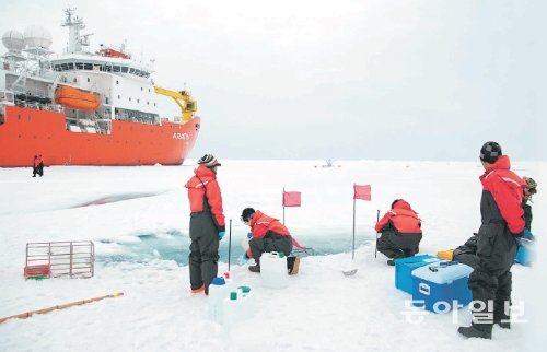 아라온호는 지난해 8월 북극 탐사를 위해 알래스카 위쪽의 축치 해를 항해했다. 아라온호에 승선했던 극지연구소 소속 연구원들이 해빙 위에 내려 연구재료로 쓸 얼음을 수집하고 있다. 극지연구소 제공