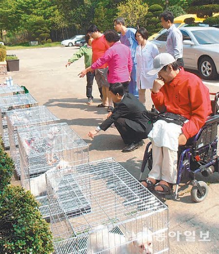 ‘반갑다! 강아지야.’ 광주 북구 본촌동 광주동물보호소에서 5월 유기견과 사회소외계층의 첫 만남이 이뤄졌다. 분양자 5명 중 정신지체장애 1급인 A 씨를 제외한 4명은 관리에 어려움을 겪어 유기견 사육에 실패했다. 그러나 6월 두 번째 분양을 받은 홀몸노인 4명은 모두 유기견을 키우는 데 성공했다. 광주동물보호소 제공