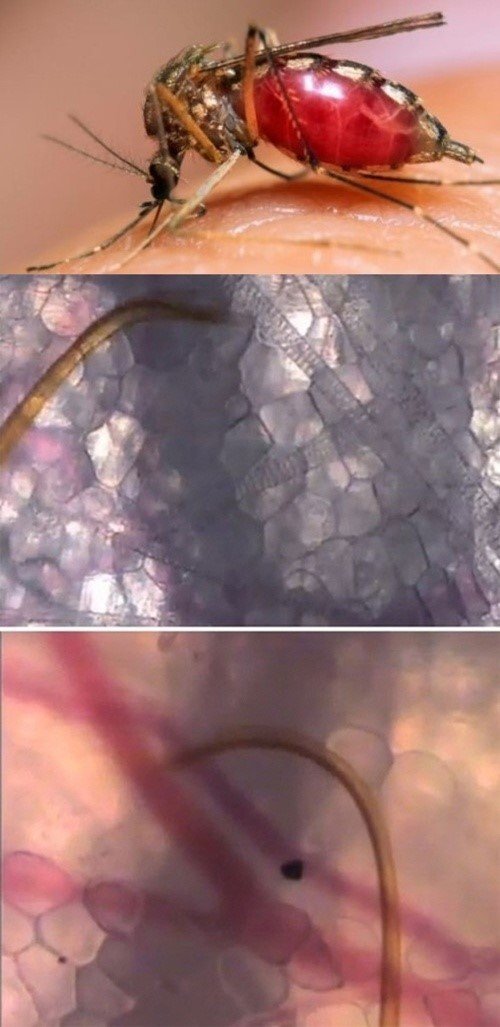 사진= 영상 갈무리