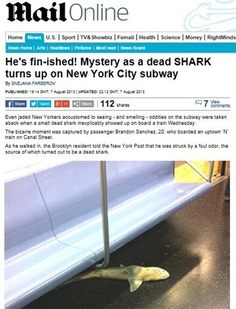 ‘미국 지하철 상어 발견’ (사진= 데일리메일 홈페이지 갈무리)