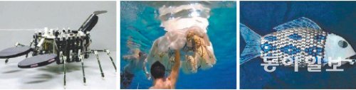 (왼쪽부터) 수중자원 탐사를 목적으로 미국 노스이스턴대 연구팀이 개발한 바닷가재로봇. 미국 버지니아공대가 개발한 해파리로봇 사이로. 위장이 용이하고 에너지 효율이 좋다. 영국 에섹스대가 2005년 개발한 피시봇. 스스로 유영이 가능한 세계 첫 지능형 로봇 물고기.