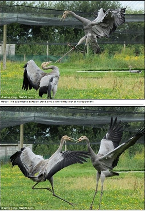 출처= 영국 데일리 메일