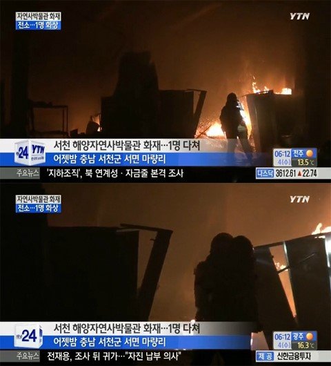 서천 해양자연사박물관 화재. YTN 뉴스 캡쳐.