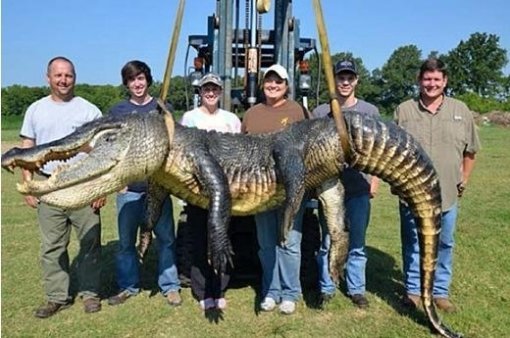 출처= 미시시피주 야생동물보호국