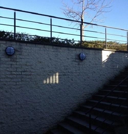 출처= 커뮤니티 게시판