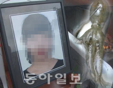 사진=동아일보 DB