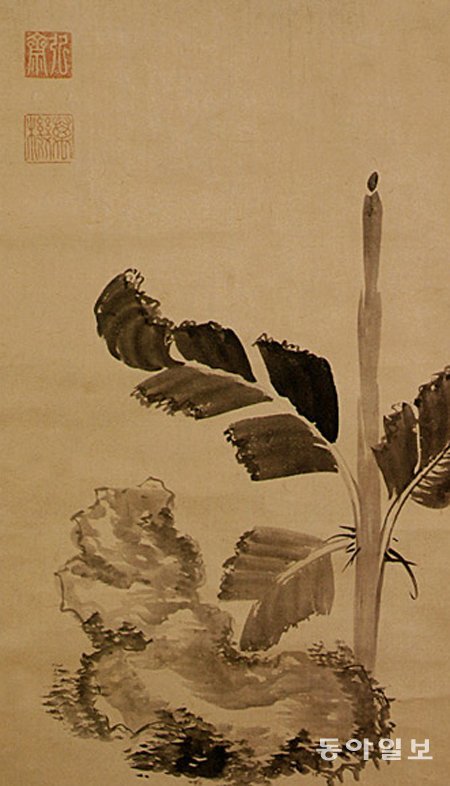 동국대 박물관이 소장한 보물 제743호 ‘정조필 파초도’. 문화재청 제공