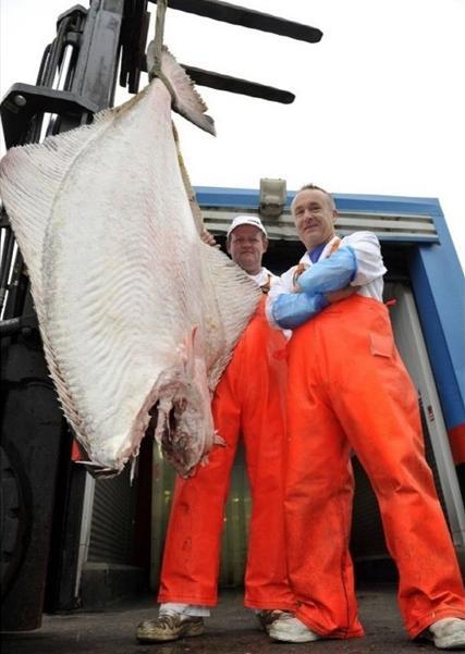 출처= 영국 데일리 메일