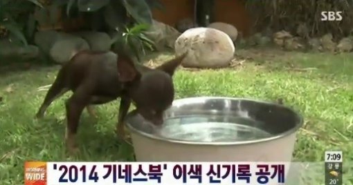 출처= SBS '생생 지구촌'