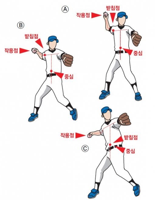 A·B 보통 제구력 위주의 투수들은 받침점이 작용점에 가까운 쪽 어깨나 견갑골에 위치한다. C 하지만 빠른 공 위주의 투수들은 받침점이 허리 부분에 위치한다. 강속구는 지렛대 원리와 같다