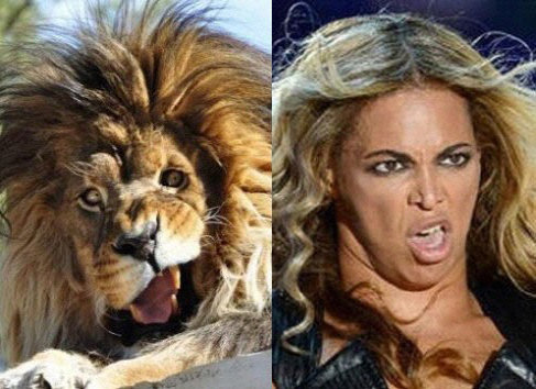 사진=온라인 커뮤니티 캡쳐