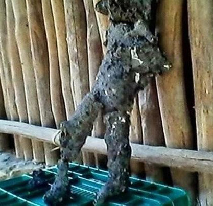 사진=유튜브 영상 캡처